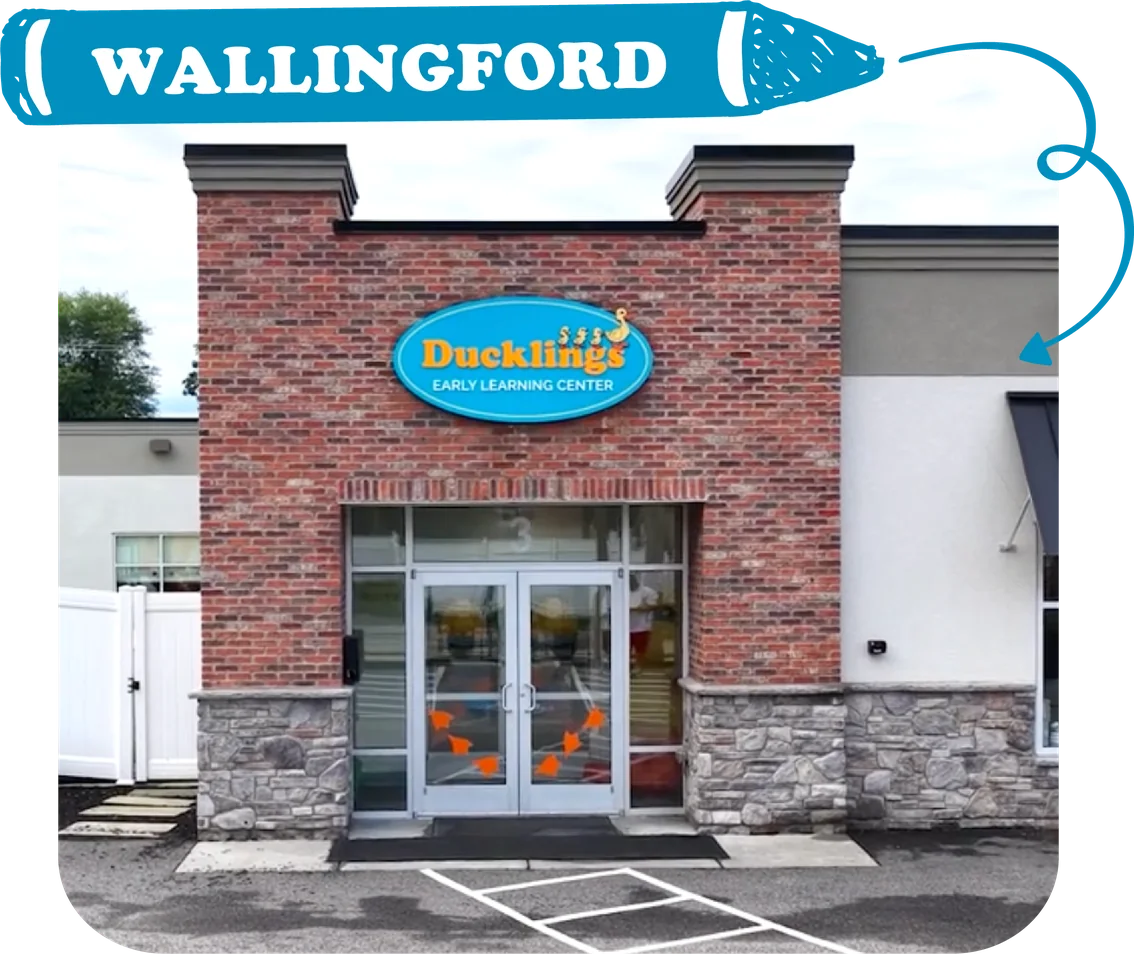 Ducklings Wallingford daycare